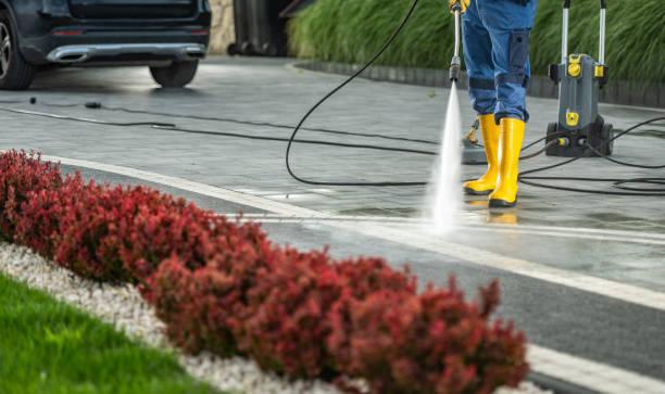 Progreso, TX Pressure Washing Services Company